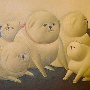 Meet your Posher, Steve